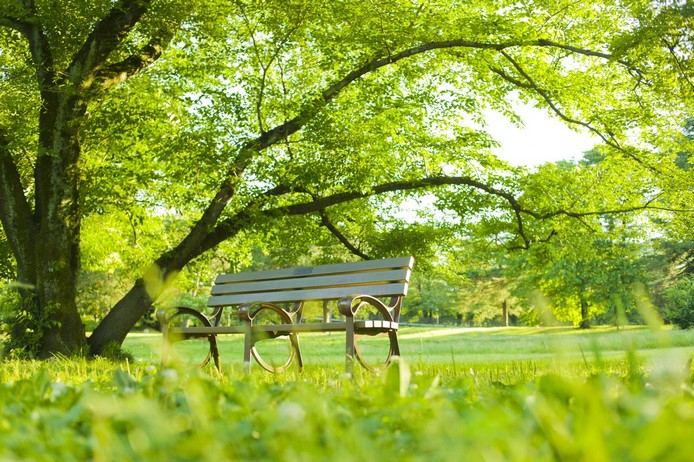 پارک تومانیان ایروان 